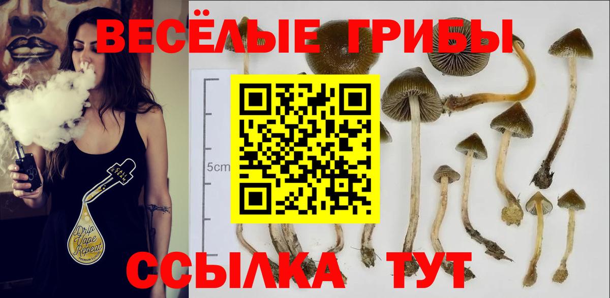 Галлюциногенные грибы Cubensis Гусь-Хрустальный